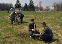 Actions “Clean Environment” and “Plant a Tree”